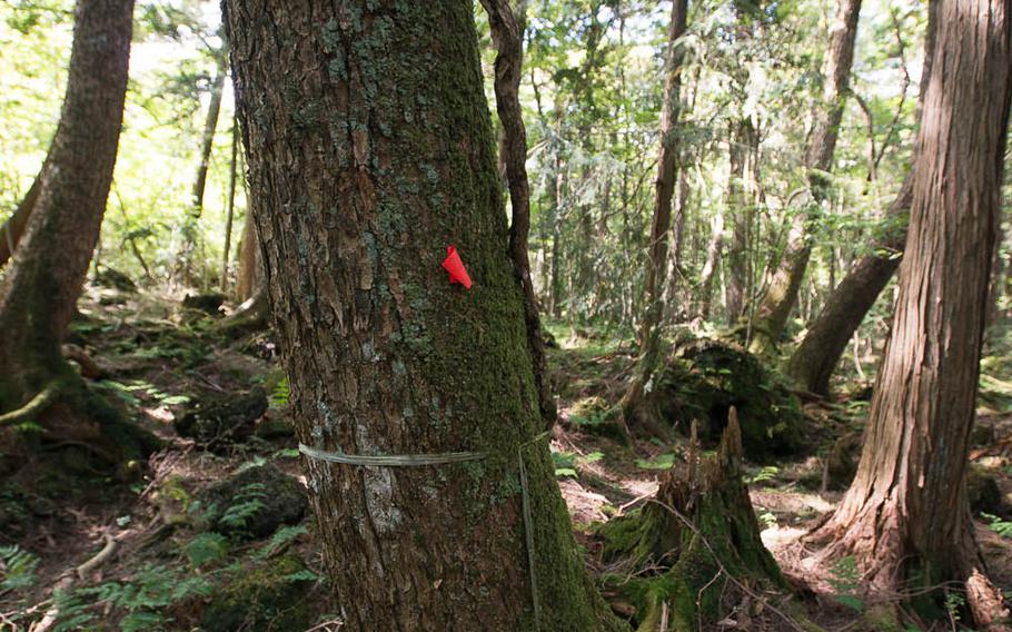 Some visitors enter the Suicide Forest unsure of their decision to end their lives. Markers are scattered throughout the forest, left behind by people that may want to find their way out eventually. Red tape and plastic twine are the most popular breadcrumb items spread around the forest.