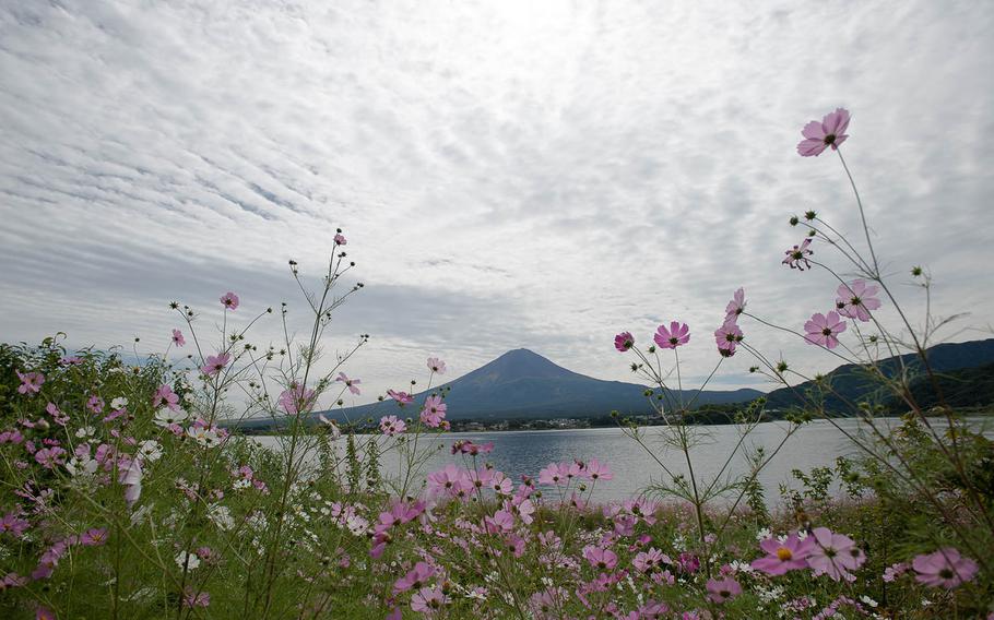 Lake Kawaguchiko, a popular destination for boaters in Japan, lies at the base of Mount Fuji and is located only minutes away from Aokigahara and the ice caves.