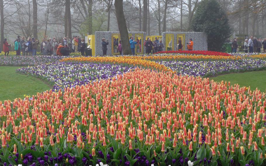 The colorful flower gardens at Keukenhof attract around 1 million visitors each year. The Dutch bulb growers plant millions of tulip, crocus, amaryllis, hyacinth, and daffodil bulbs for the show.  