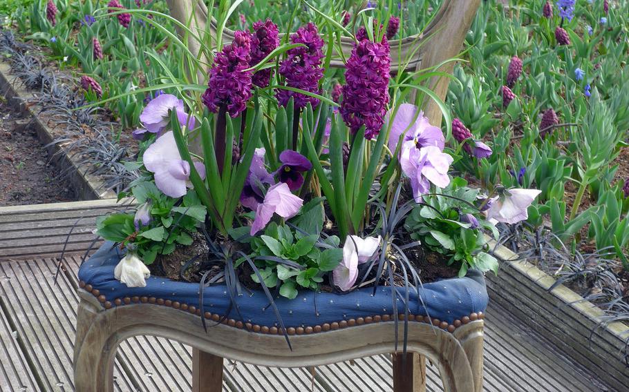This is an alternative to your traditional flower pot, seen at Keukenhof last year. Try it at home?