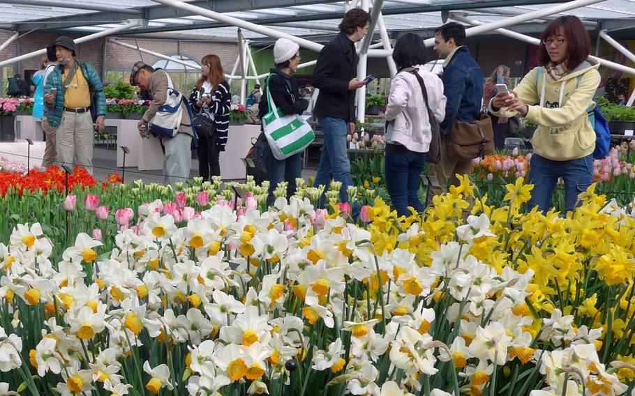 Visitors snap photos of the blooming tulips in Keukenhof's Prins Willem Alexander Pavilion. Early in the season, when it is still too cold for some of the flowers to bloom outside, the pavilion is a sea of colors.