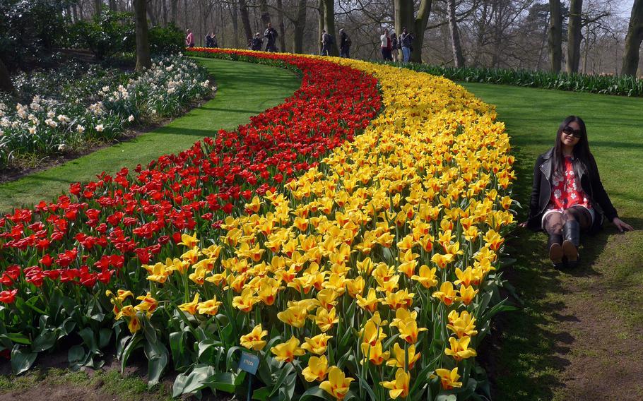 A visitor to Keukenhof has her photo taken next to colorful rows of tulips. The famed flower gardens on the outskirts of Lisse, Netherlands, opens its gate on Thursday, March 24, for the 2016 season.
