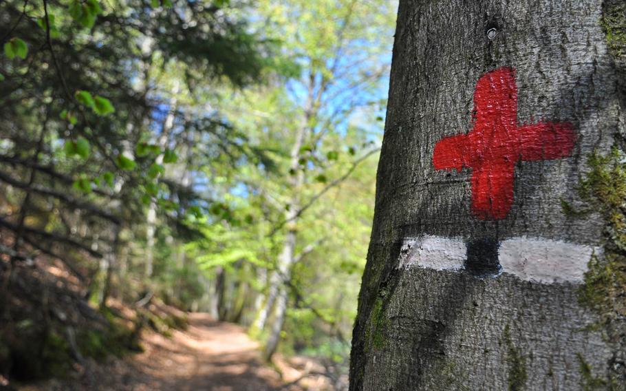 A portion of the northern route of the Way of St. James in the Palatinate Forest in Germany is marked by red crosses painted on trees.