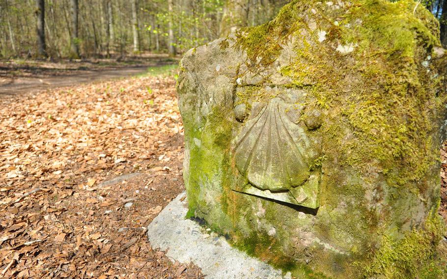 A shell, symbolizing the Way of St. James, is carved into the rock along the trail in the Palatinate Forest near Kaiserslautern, Germany.
