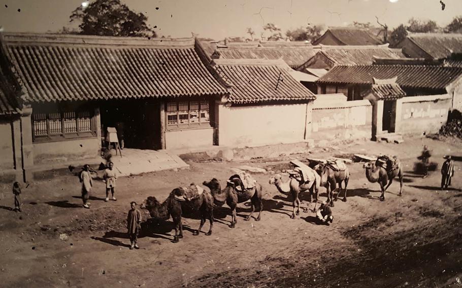 A caravan of camels in Beijing stand in front of a tiled-roof courtyard in this photo taken by John Thomson in the early 1870s. The camels were among a group of about 2,000 laden with tea and bound for Russia.