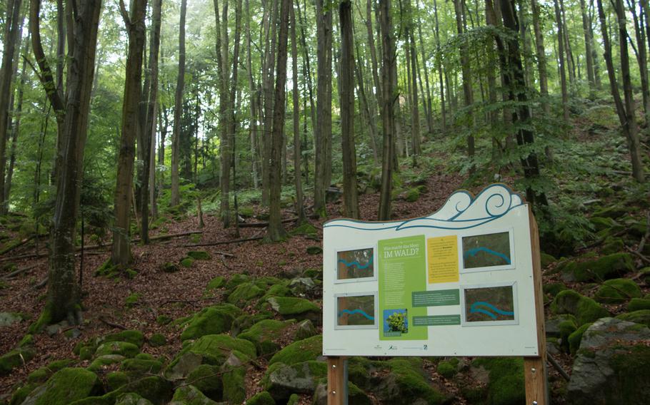 Signposts along the trails that wind through the mountains near Stamsreid, Germany, explain the topography, flora and fauna found along the way. Those who don't speak German may get little out of them, though, as they're only in the local tongue.