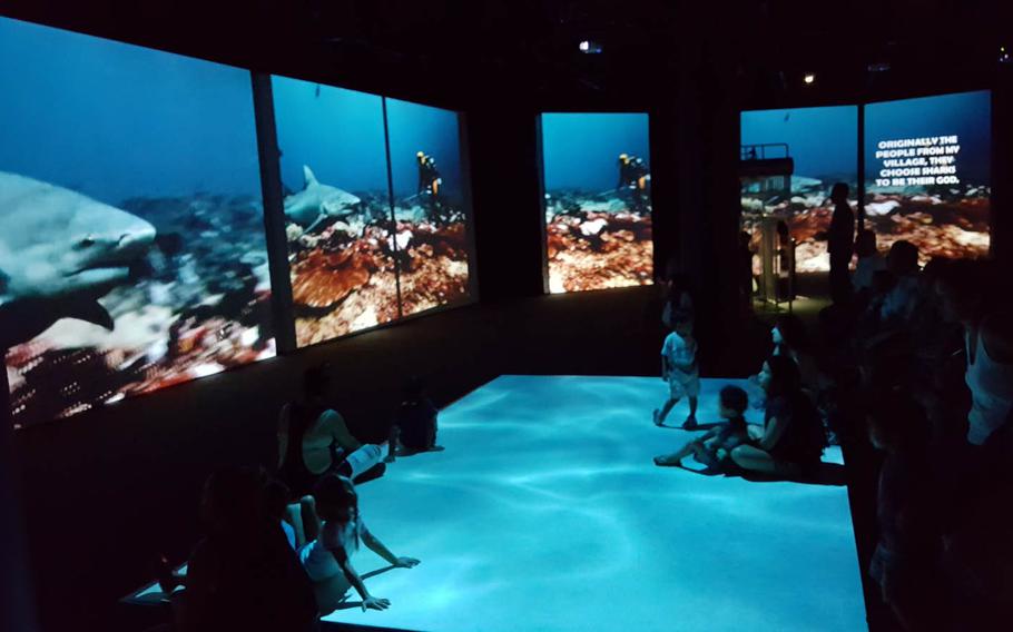 Continuous video of various species of sharks are in the main exhibit hall of Planet Shark: Predator or Prey, an exhibit at the Bishop Museum in Honolulu.