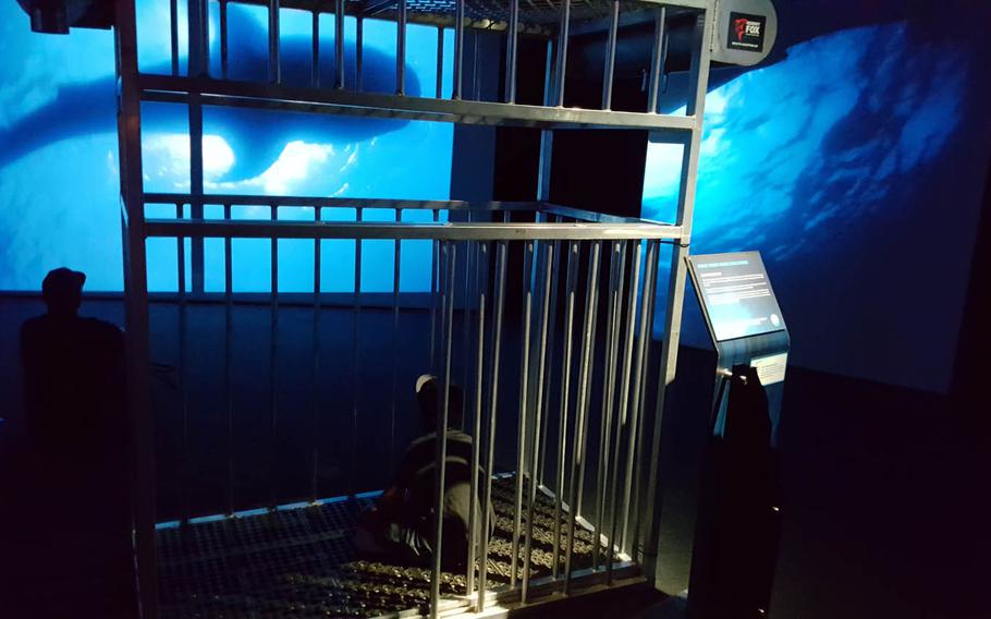 A dive cage, on display in the video hall of the exhibit Planet Shark: Predator or Prey at the Bishop Museum in Honolulu, is the safest way to get close to sharks in their native habitat.