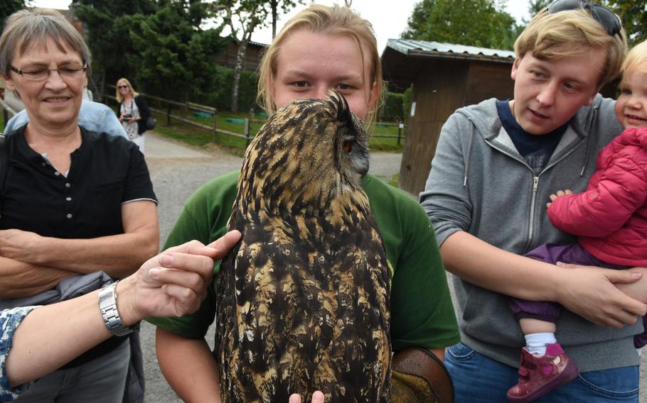 A staff member at the wildpark holds a European eagle owl while visitors to the park touch its feathers. Owl viewing is possible after the daily flight show, which starts at 3 p.m. daily from March through October.