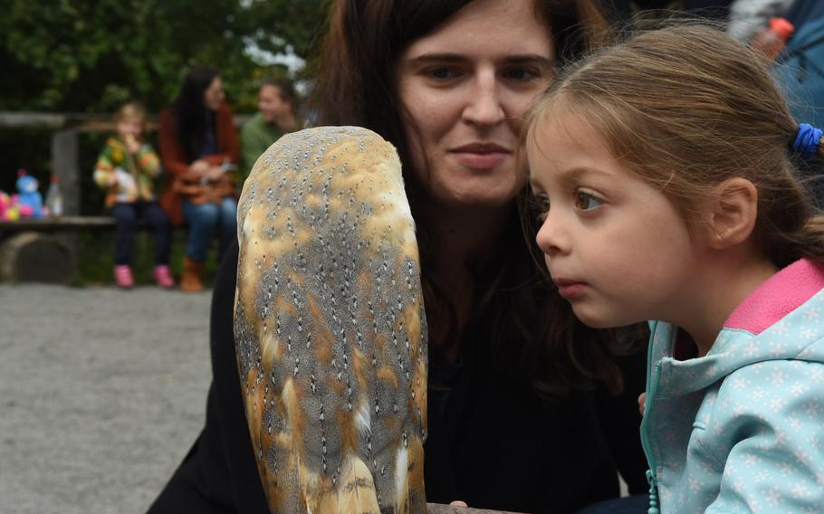 A child checks out a barn owl at Wildpark Potzberg near Foeckelberg, Germany.