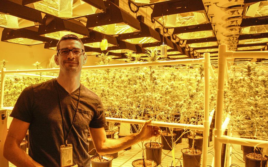 Ryan Reese, a U.S. Air Force veteran, helped to establish a marijuana cultivation facility in Phoenix over the past year and recently worked as its CEO. Reese retired as a mechanic from Beale Air Force Base and uses marijuana to treat chronic pain.