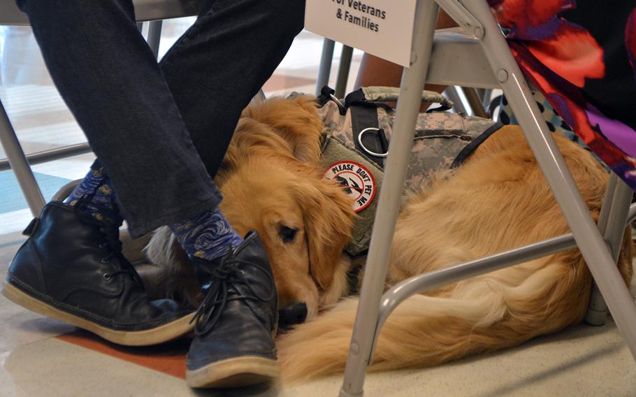 A service dog, newly graduated from the Warrior Canine Connection, rests under his owners feet while the rest of his class graduates on Oct. 7, 2017.