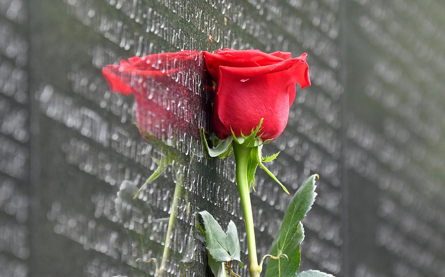 About 3,000 roses were placed at the Vietnam Memorial Wall in Washington, D.C., as part of the annual Father's Day Rose Remembrance. 