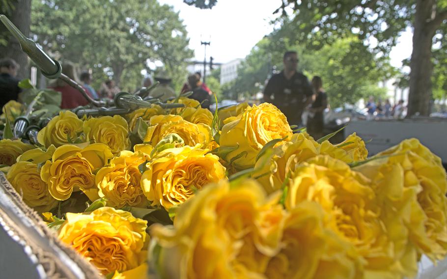 About 3,000 roses were placed at the Vietnam Memorial Wall in Washington, D.C., as part of the annual Father's Day Rose Remembrance. Here, a collection of yellow roses (which represented those Missing in Action) are gathered, ready to be handed out for people to place along the wall. 