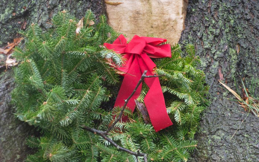 The US Soldiers' and Airmen's Home National Cemetery is decorated with wreaths from Wreaths Across America on Dec. 15, 2018, in Washington, D.C. Here, a tree has grown around an old grave marker. 