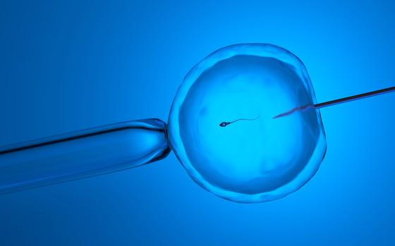 Artificial insemination illustration, blue background.